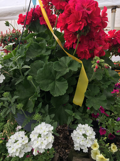 Florist «TG Designs», reviews and photos, 19231 Longmeadow Rd, Hagerstown, MD 21742, USA