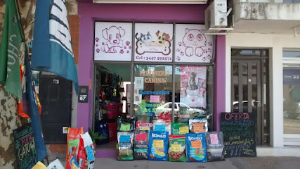 Huellitas En Colón Pet Shop