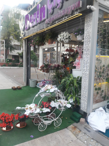 Derin Çiçek Ve Organizasyon