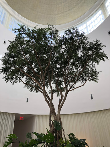 Hair Salon «SALON by milk + honey at the Arboretum Market», reviews and photos, 9722 Great Hills Trail #145, Austin, TX 78759, USA