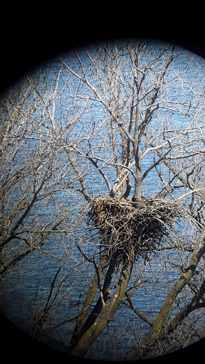 Nature Preserve «Carpenter Nature Center», reviews and photos, 12805 St Croix Trail S, Hastings, MN 55033, USA