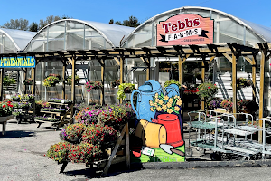 Tebbs Farms & Greenhouses image