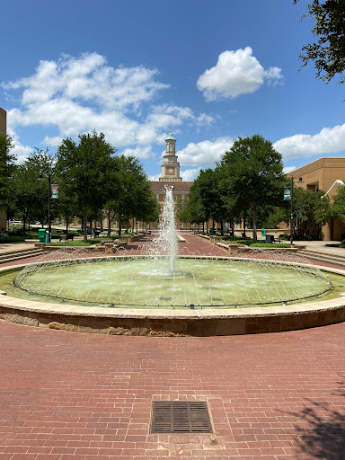 Book Store «Barnes & Noble at UNT», reviews and photos, 1155 Union Cir, Denton, TX 76203, USA