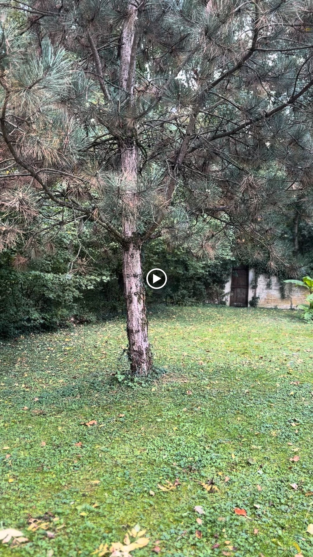 Photo n° 9 de l'avis de Adam. fait le 22/10/2023 à 17:02