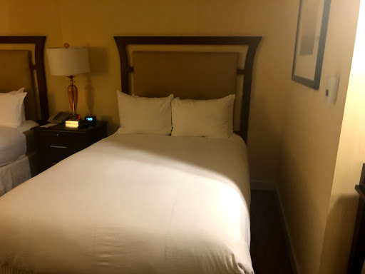Hotel «Hilton North Raleigh/Midtown», reviews and photos, 3415 Wake Forest Rd, Raleigh, NC 27609, USA