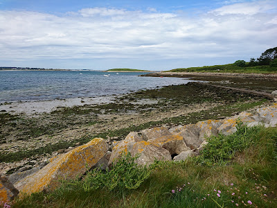 Sozen à Plouguerneau