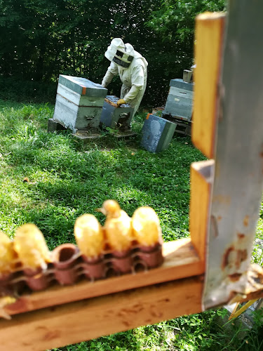 Les ruchers nomades à Porte-des-Bonnevaux