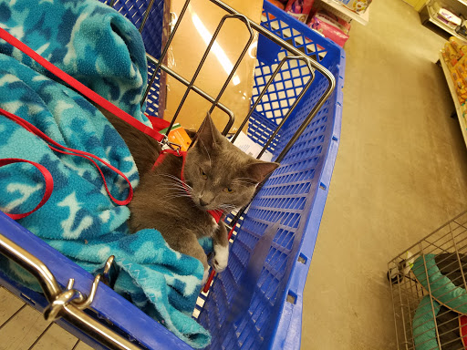 Pet Supply Store «Petco Animal Supplies», reviews and photos, 1237 Flammang Dr, Waterloo, IA 50702, USA