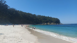Fotografie cu Praia de Figueiras amplasat într-o zonă naturală