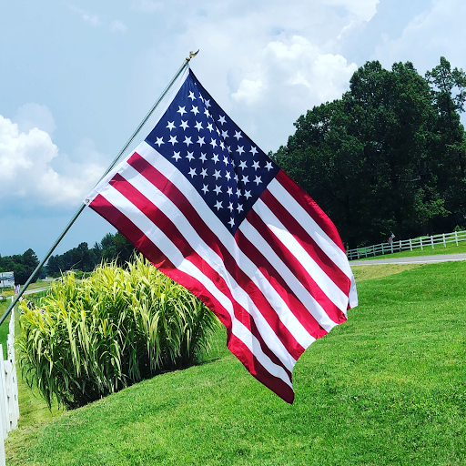 Amusement Park «Kentucky Shores Family Fun Center and Zip Lines», reviews and photos, 6215 US-641, Gilbertsville, KY 42044, USA
