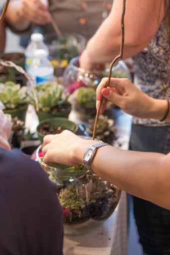 Wholesale Florist «Urban Jungle», reviews and photos, 2603 Sherman Ave NW, Washington, DC 20001, USA