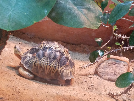 Zoo «Zoo Atlanta», reviews and photos, 800 Cherokee Ave SE, Atlanta, GA 30315, USA