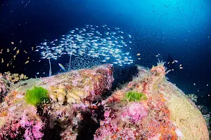 Deep Andaman Queen - Thailand Scuba Diving Liveaboard, Phuket diving Similan Islands, Koh Lipe, Burma Bank, Myanmar image
