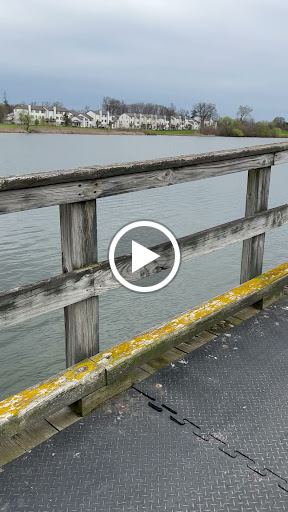 Public Golf Course «The Links at Crystal Lake», reviews and photos, 800 Golf Dr, Pontiac, MI 48341, USA