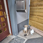 Photo n°4 de l'avis de Eloi248. fait le 13/02/2023 à 20:30 sur le  Landhotel & Restaurant Traube Baden Baden à Baden-Baden