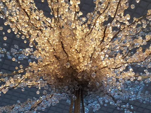 Museum «Orlando Museum of Art», reviews and photos, 2416 N Mills Ave, Orlando, FL 32803, USA