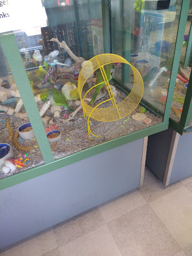 Pet Store «Petland», reviews and photos, 7030 Bandera Rd, San Antonio, TX 78238, USA