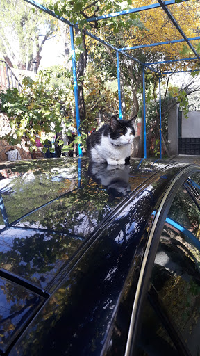 Centro Veterinario Alberche en Escalona