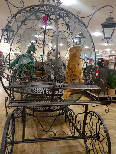Department Store «HomeGoods», reviews and photos, 137 Teaticket Hwy, East Falmouth, MA 02536, USA
