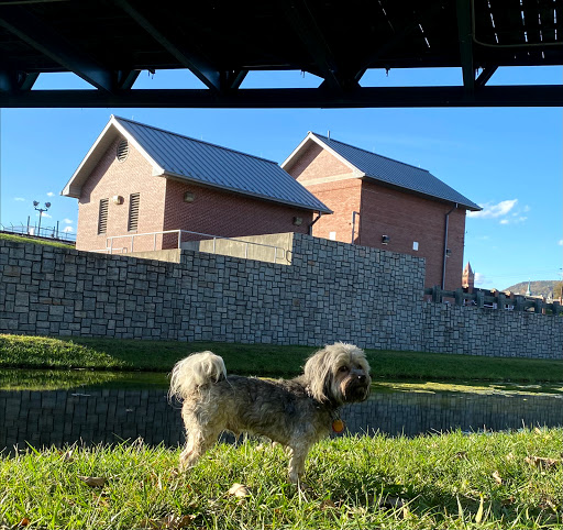 Tourist Attraction «Canal Place», reviews and photos, 13 Canal St, Cumberland, MD 21502, USA