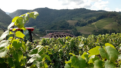 Cave Girardi-Dupoyet à Cerdon