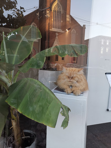 Ice Cream Shop «Louisville Cream», reviews and photos, 1164 S Brook St, Louisville, KY 40203, USA