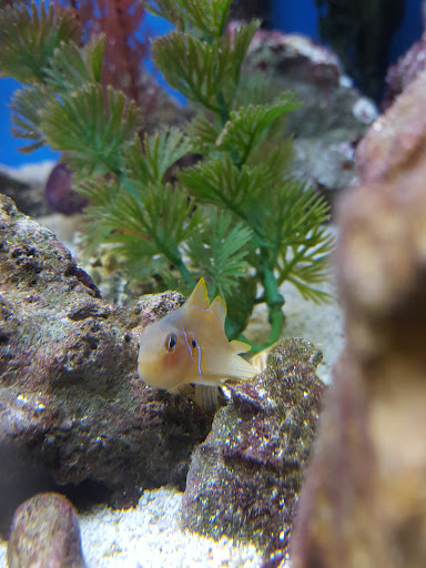 Pet Store «Pet World Warehouse Outlet», reviews and photos, 2984 S 108th St, Milwaukee, WI 53227, USA