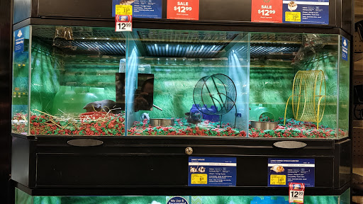 Pet Supply Store «PetSmart», reviews and photos, 2300 Gary Farm Blvd #600, Bowling Green, KY 42104, USA