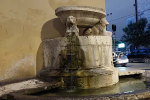 Fontana dei Cani image