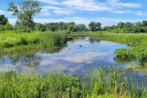 Nippersink Forest Preserve image