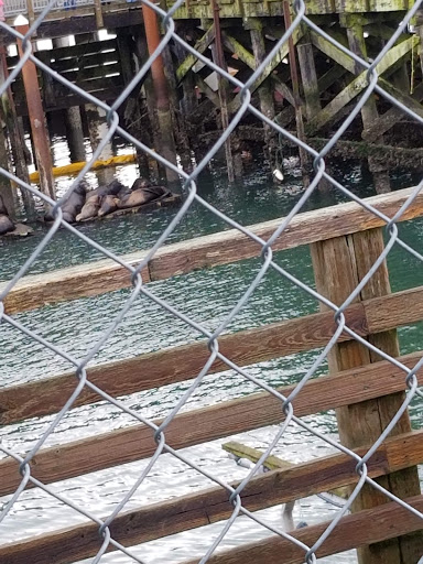 Coffee Shop «Bayscapes Gallery & Coffee house», reviews and photos, 333 SW Bay Blvd, Newport, OR 97365, USA