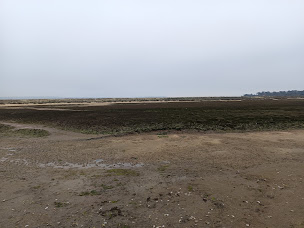 Photo n°64 de La Cabane du Mimbeau à Lège-Cap-Ferret ()