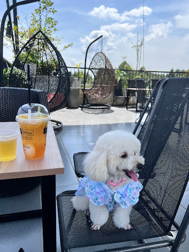 Top 20 khách sạn mới Huyện Bù Gia Mập Bình Phước 2022