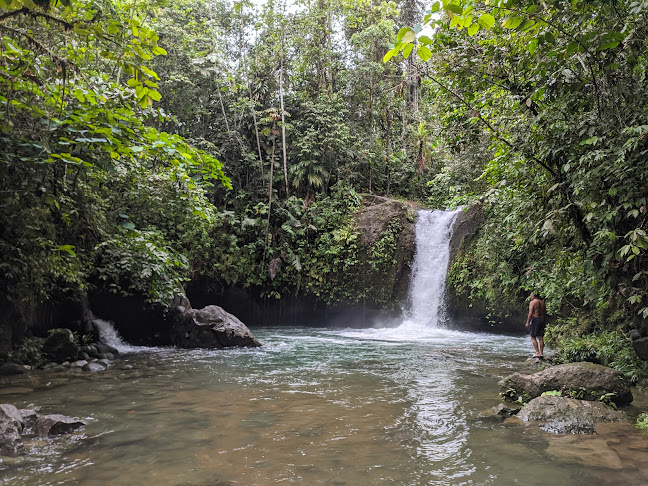 Cascadas Verdes