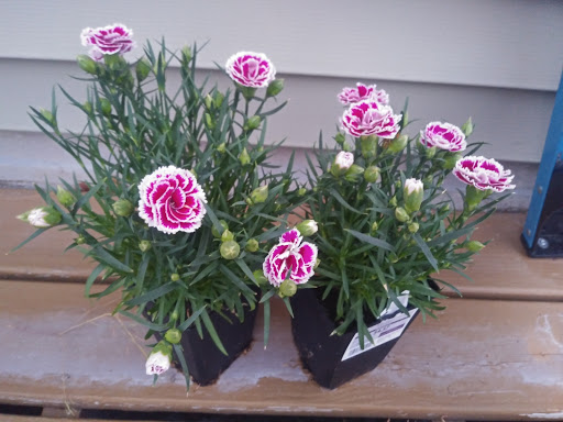 Home Improvement Store «The Home Depot», reviews and photos, 58 Plaistow Rd, Plaistow, NH 03865, USA