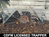 Artec Pest Control - Photo 4 - Car repair in , San Jose