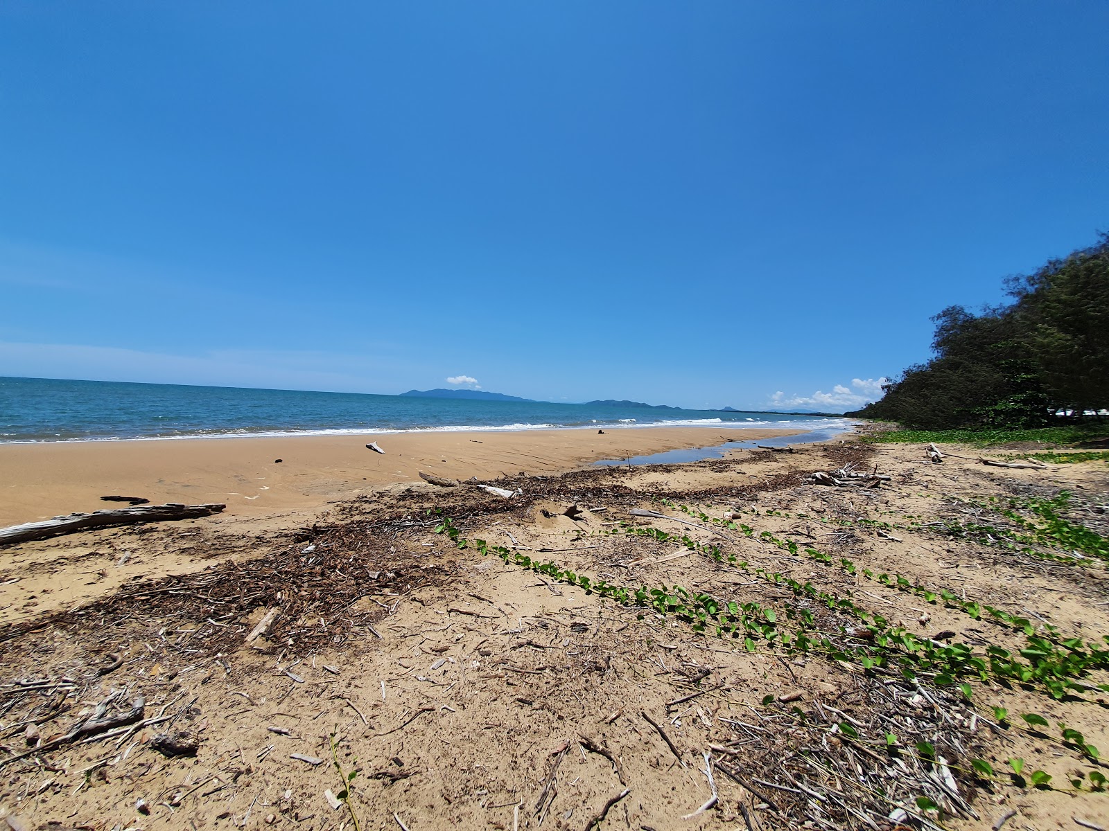 Fotografija Saunders Beach z dolga ravna obala