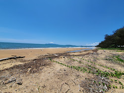 Foto af Saunders Beach med lang lige kyst
