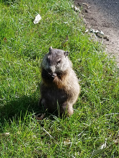 Park «McCullough Park», reviews and photos, W Illinois Ave, Aurora, IL 60506, USA