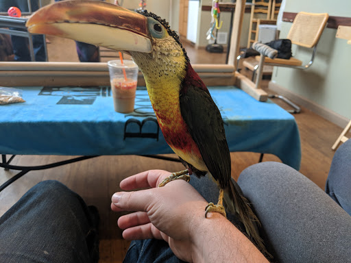 Bird Shop «Parrot & Bird Emporium Inc», reviews and photos, 360 N Westfield St, Feeding Hills, MA 01030, USA