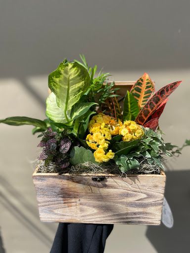 Florist «Design Works Flowers», reviews and photos, 624 N Main St, Rochester, MI 48307, USA