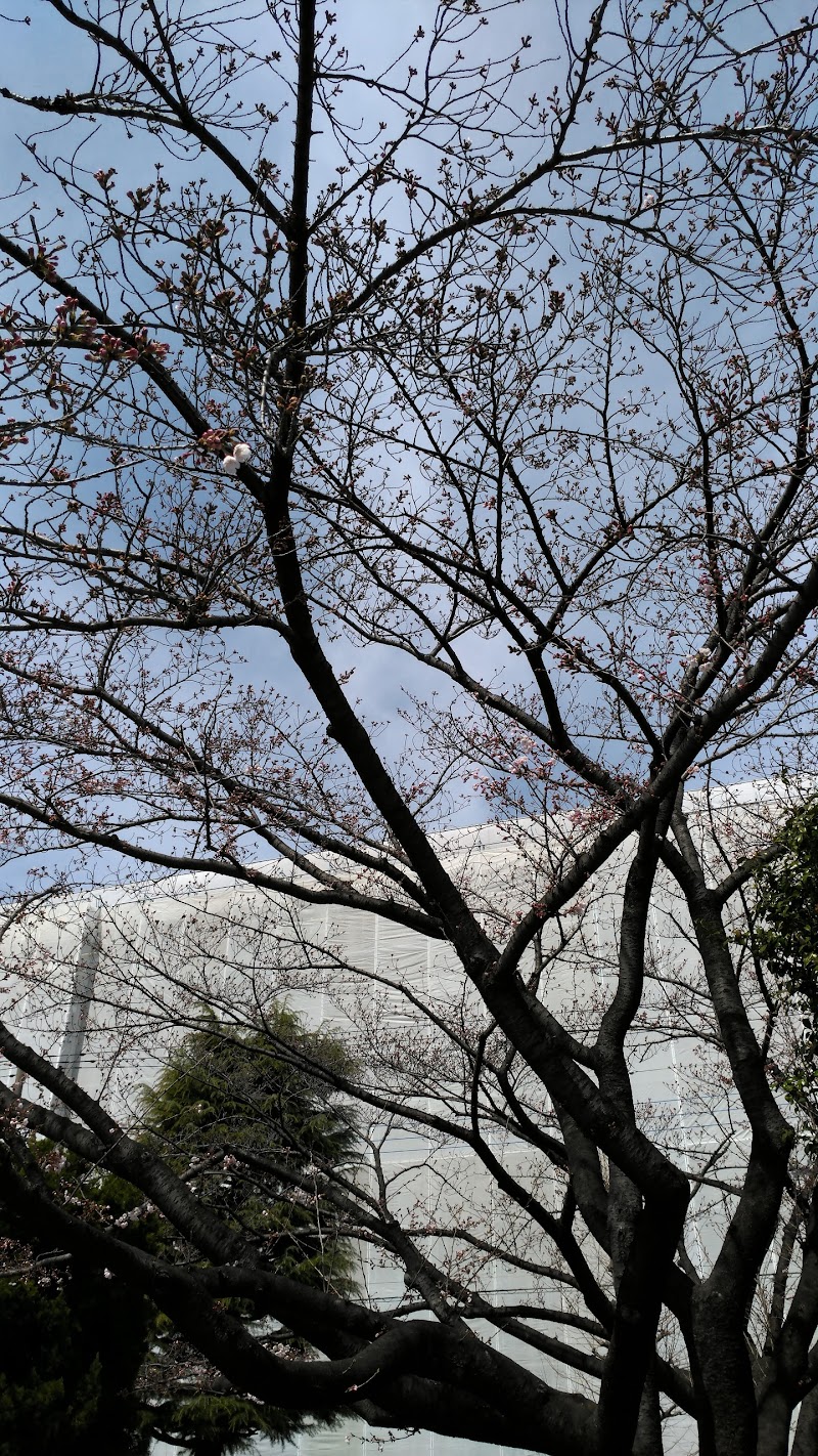 瀬崎新田公園
