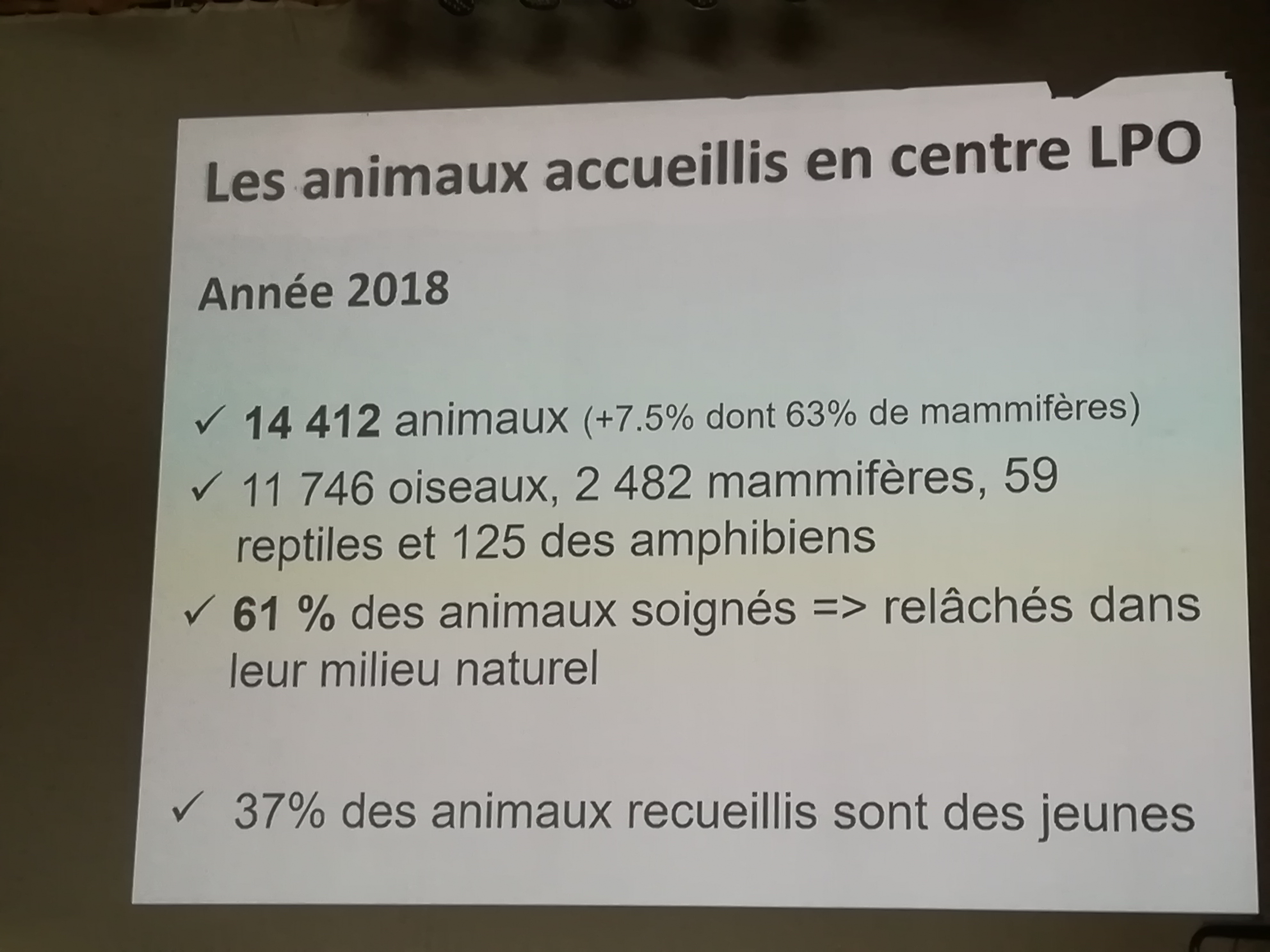 Photo n° 10 de l'avis de Nathalie.e fait le 29/06/2019 à 20:26