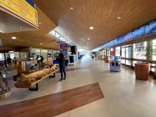 Opiniones de Terminal de Buses Valdivia en Valdivia - Centro comercial