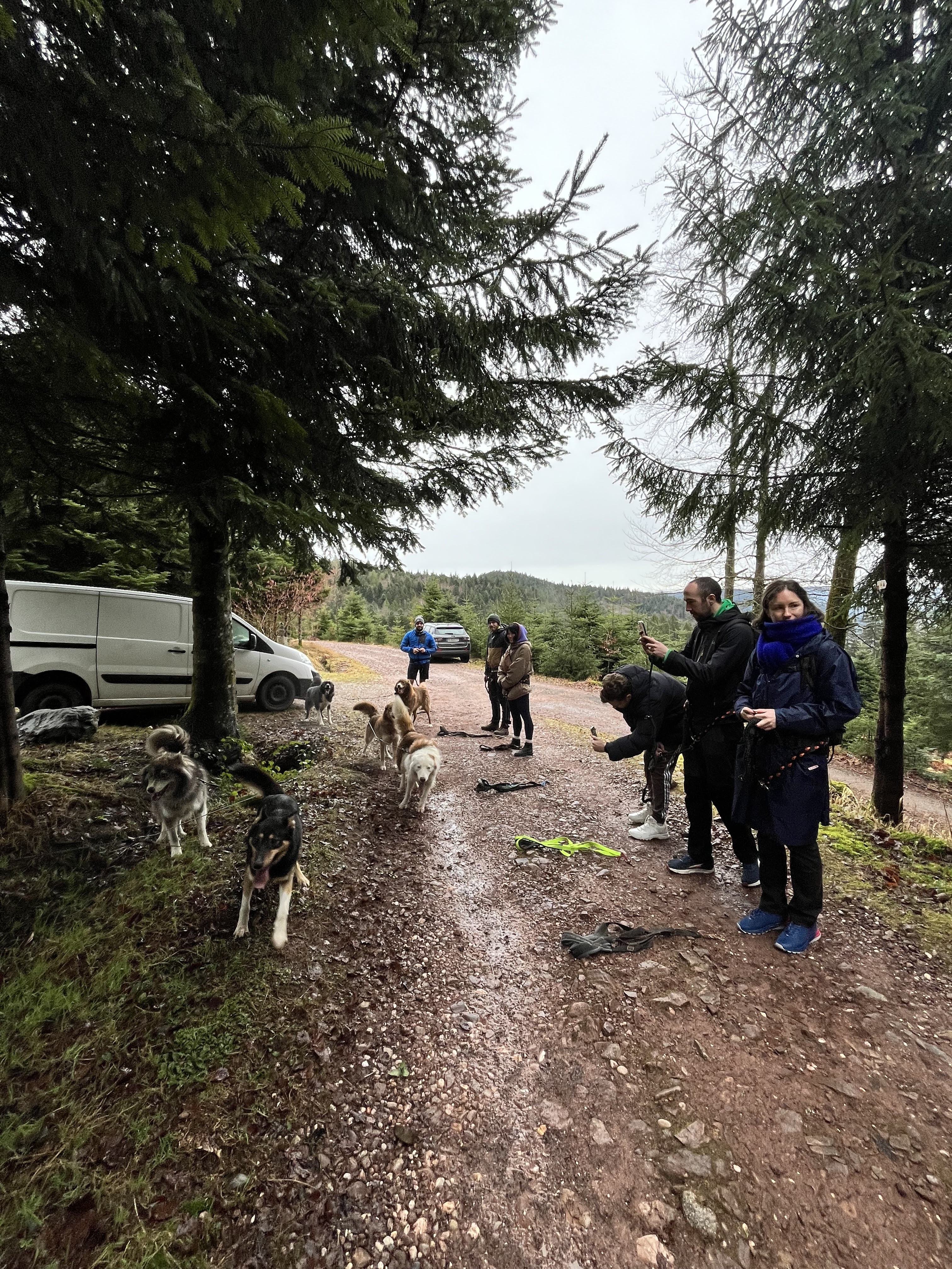 Photo n° 4 de l'avis de Marie.A fait le 23/02/2024 à 17:09