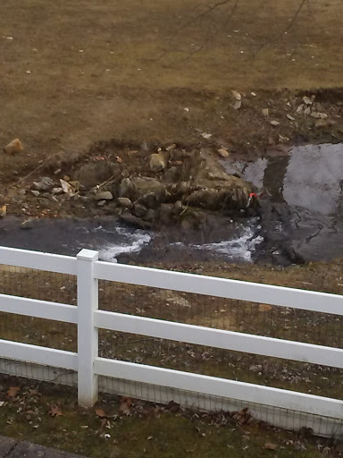 Fast Food Restaurant «Chick-fil-A», reviews and photos, 2467 Lincoln Hwy E, Lancaster, PA 17602, USA