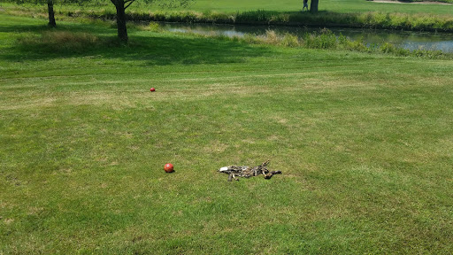 Country Club «Old Orchard Country Club», reviews and photos, 54 Monmouth Rd, Eatontown, NJ 07724, USA