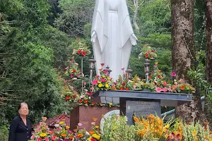 Đức Mẹ Đèo Bảo Lộc image