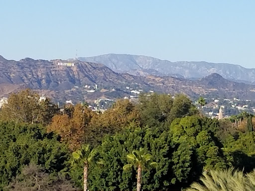 Art Museum «Los Angeles County Museum of Art», reviews and photos, 5905 Wilshire Blvd, Los Angeles, CA 90036, USA