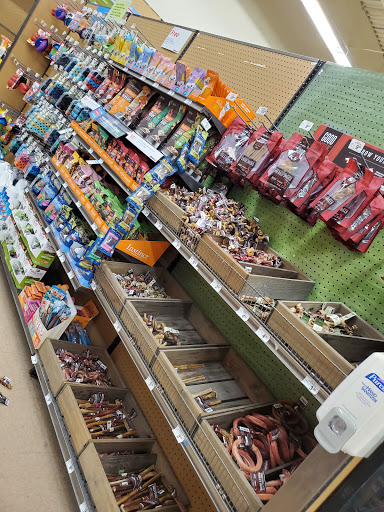 Pet Supply Store «Petco Animal Supplies», reviews and photos, 1622 Clark Street Rd, Auburn, NY 13021, USA